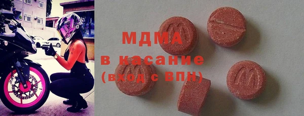 хмурый Ельня