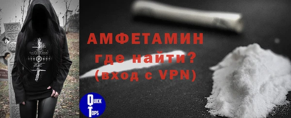 хмурый Ельня
