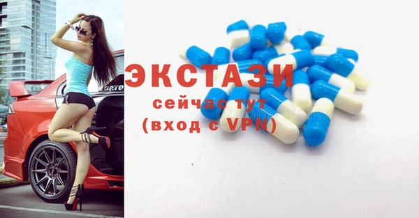хмурый Ельня