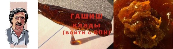хмурый Ельня