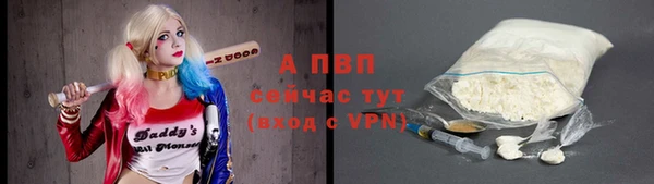 гидра Заводоуковск