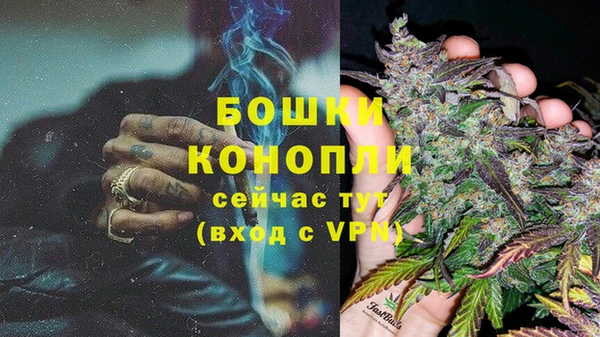 хмурый Ельня