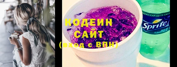 хмурый Ельня