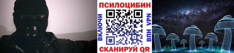 Купить где  Петровск  Галлюциногенные грибы Psilocybine cubensis 